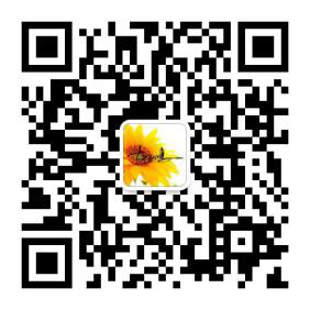 2016年奇葩丰田威驰 1.5L自动挡 超省油 超划算